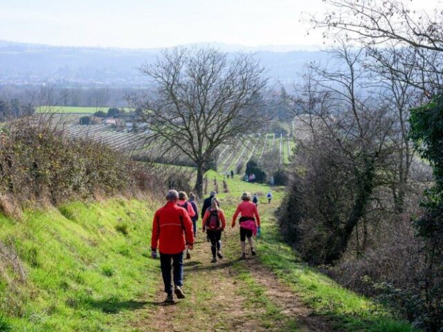 Photo de marcheurs dans un chemin du Beaujolais